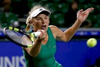 دورة سيدني: تشيبولكوفا وفوزنياكي تلحقان بكوزنستوفا إلى الدور الثاني