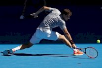 ديميتروف وسيرينا إلى نصف نهائي بطولة أستراليا المفتوحة