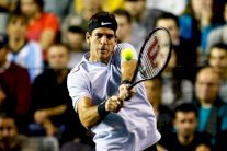 دورة باريس بيرسي: دل بوترو يقترب من بطاقة الماسترز