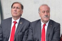 مساعد ديل بوسكي يكشف تفاصيل مثيرة حول تدخلات بيريز