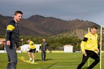 دورتموند يعتزم شراء التلة المطلة على ملعب تمارينه