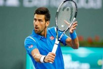 ديوكوفيتش يريد تأكيد أفضليته على الملاعب الصلبة