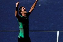 من ينجح في ايقاف فيدرر؟