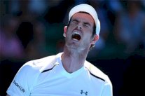 انسحاب موراي من دورة ميامي لإصابة في كوعه