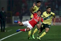 تعثر بنفيكا وبورتو قبل قمتهما المرتقبة في الدوري البرتغالي 