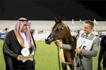 ختام البطولة الوطنية لجمال الخيل العربية الأصيلة بالاحساء