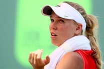 نصف نهائي دورة تشارلستون يخلو من المصنفات