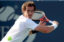 صدارة تصنيف المحترفين على حالها