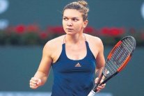 سيمونا هاليب تأمل التعافي من إصابة في كاحلها