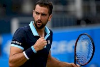 سيليتش وديميتروف إلى نصف نهائي دورة كوينز وخروج برديتش