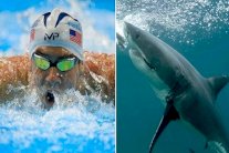 أسطورة السباحة فيلبس يتبارز مع قرش أبيض
