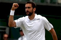 سيليتش الى المركز السادس في تصنيف المحترفين