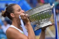 دورة ايستبورن: لقب السيدات لبليسكوفا ولقب الرجال لديوكوفيتش