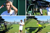 تغريم توميتش وميدفيديف لتصرفهما