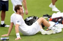 موراي ينتقد حالة العشب في بطولة ويمبلدون