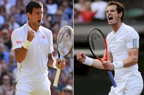 مفتاح الحل لموراي وديوكوفيتش في تجربة فيدرر بالخلود الى الراحة