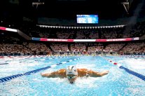 الولايات المتحدة تحت المجهر مع انطلاق منافسات مونديال السباحة