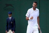 سيليتش لن يدافع عن لقب سينسيناتي والمشاكل العائلية تجبر ازارنكا على الانسحاب