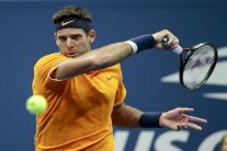 بداية جيدة لدل بوترو وديميتروف وتأهل كيربر وأوساكا إلى ثمن النهائي