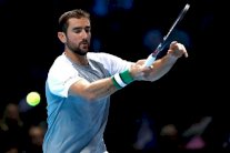 سيليتش يقود كرواتيا في الدور النهائي لكأس ديفيس ولا تعزيزات في فرنسا