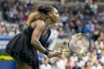 سيرينا تريد التركيز على أمور 