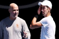 أغاسي يتخلى عن تدريب ديوكوفيتش