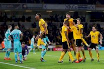 ولفرهامبتون ينتزع التعادل من نيوكاسل في الرمق الأخير