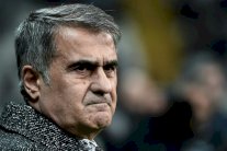 غونيش مدربا جديدا لمنتخب تركيا