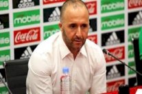 بلماضي مدرب 