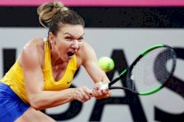 هاليب تنسحب من دورة شتوتغارت بسبب الاصابة واوساكا المستفيدة الأكبر