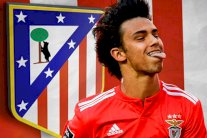 أتلتيكو مدريد يعرض 126 مليون يورو على بنفيكا لضم جواو فيليكس