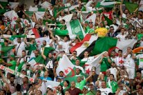 المشجعون الجزائريون يملأون فراغ المدرجات في كأس أمم إفريقيا