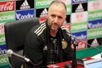 بلماضي يؤكد: الجزائر لن تكتفي بثمن النهائي