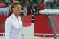 رونار يعتبر الجزائر الأفضل ويحذر مصر من جنوب إفريقيا