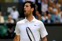 تأهل دون عناء لديوكوفيتش وعملاق مغمور يقصي فافرينكا