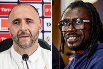 الصديقان بلماضي وسيسيه وجها لوجه في نهائي كأس أمم إفريقيا 