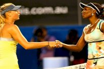 دعوة لشارابوفا وفينوس وليامس للمشاركة في دورة سينسيناتي