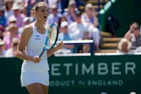 بليسكوفا تحقق ما عليها في السباق نحو صدارة التصنيف