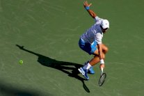 عبور سهل لديوكوفيتش وفيدرر وانسحاب سيرينا من دورة سينسيناتي