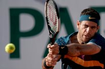 الإصابة تبعد دل بوترو عن فلاشينغ ميدوز