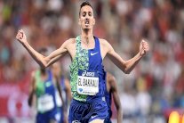 الآمال العربية في مونديال الدوحة محصورة بحفنة من الأبطال