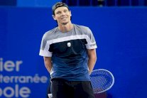 برديتش يعلن اعتزاله كرة المضرب عن عمر 34 عاما