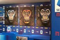 الدوري الإيطالي.. مصمم وجوه القردة في حملة لمناهضة العنصرية يعتذر