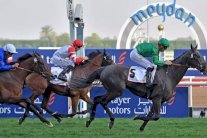 إلغاء كأس دبي العالمية للخيول بسبب فيروس كورونا