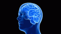 دراسة تحدد مناطق الدماغ المتأثرة بارتفاع ضغط الدم