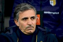 بطولة إيطاليا: بارما يقيل مدربه بيكيا