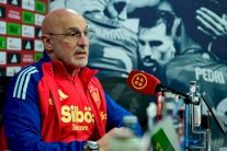 دي لا فوينتي مدرب إسبانيا يشيد بنظام المواهب