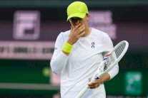 دورة مدريد: شفيونتيك