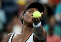 العودة غير المتوقعة للأسطورة المخضرمة فينوس وليامس