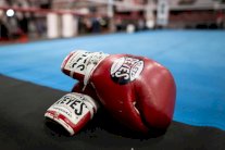 أمين عام لجنة الملاكمة في اليابان يحذر من إمكانية نهاية الرياضة في البلاد